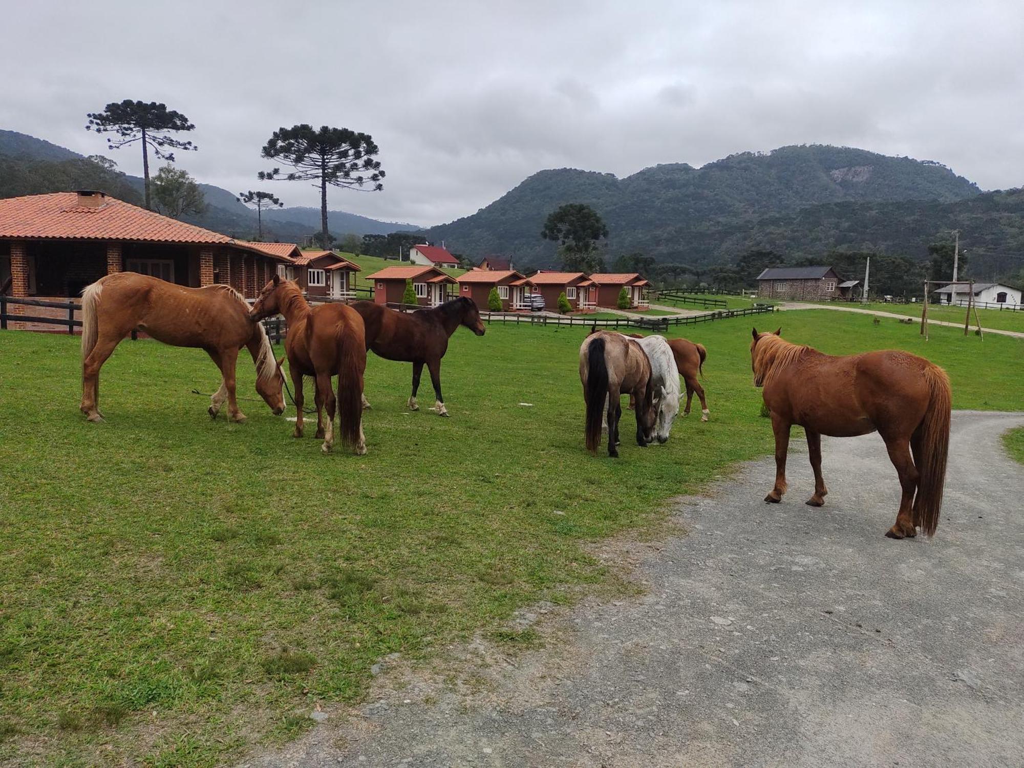 Hotel Sitio Rancho Crioulo Urubici Exteriér fotografie